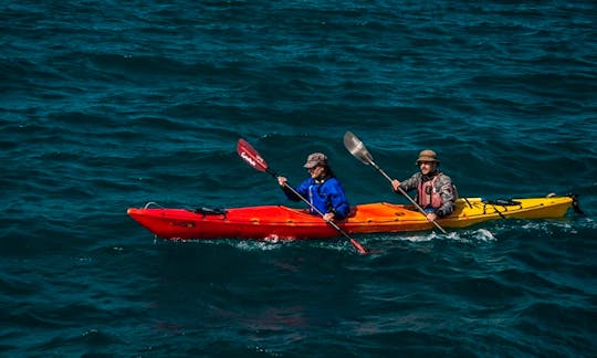 Sea kayak in Navarino