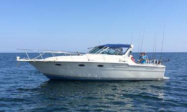 33' Tiara Motor Yacht Fishing Charter in Rochester, New York