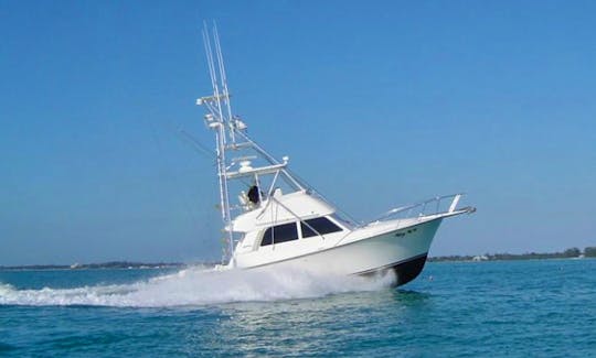 Fishing Charter on 40' Henriques Sportfish Boat in Islamorada, Florida
