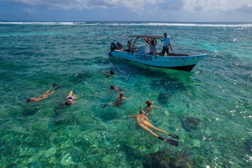 Aventure sur les récifs en bateau à moteur à console centrale : excursion de plongée en apnée et de relaxation en 6 arrêts