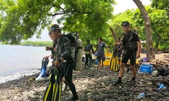 Guided Diving Charters in Bali