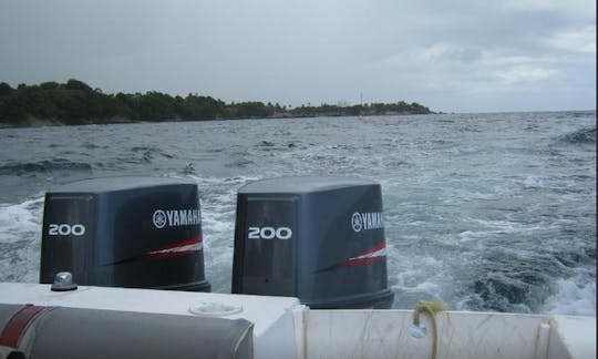 Speedboat Charter and Snorkeling in Western Tobago