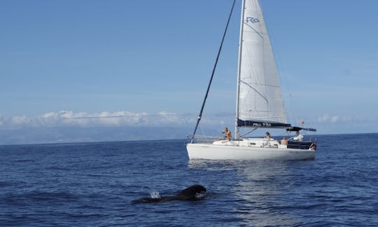 Gran Azor Cruising Monohull Rental in Adeje, Tenerife, Spain