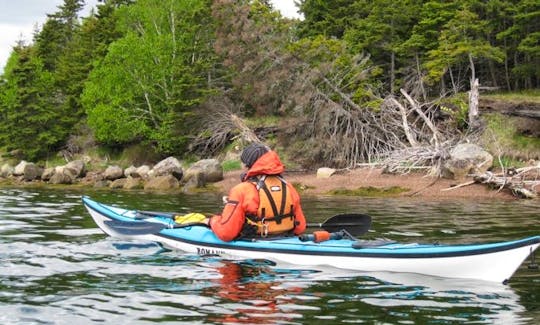 Guided Kayak Tour on the Coastline of Cape Breton Island
