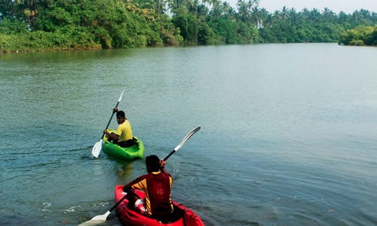 Kayak Rental in Mandrem, India