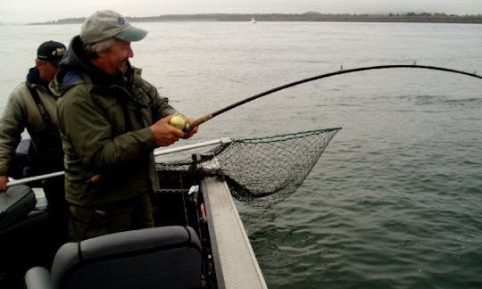 Guided Fishing Trips on the Columbia River, the Willamette River, & Tillamook Bay