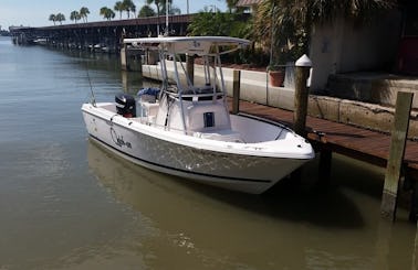 Captained Charters 23' Seahunt Center Console Boat in Madeira Beach