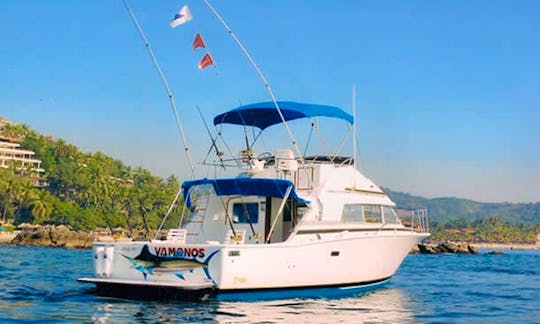 Fishing Charter 'Vamonos II' in Zihuatanejo