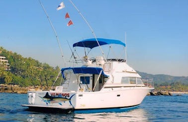 Fishing Charter 'Vamonos II' in Zihuatanejo