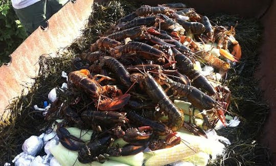 Location de bateaux Bass Boat de 21 pieds à Nobleboro, dans le Maine