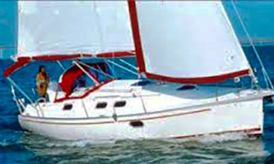 Charter the Gib Sea 33 "Iva" Sailing Charter in Betina
