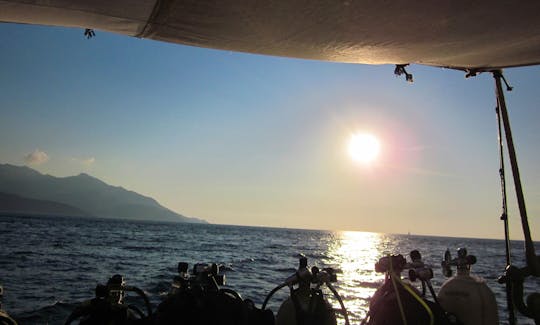 Diving and Diving Courses at Passenger Boat in Porto Ferraio, Italy
