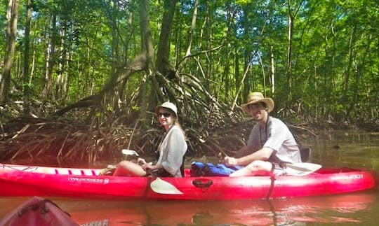 Tandem Kayak Rental & Guided Tour in Costa Rica
