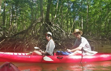 Tandem Kayak Rental & Guided Tour in Costa Rica