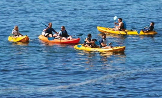 Two Seater Kayak for Guided Fishing Trip in Bonita Springs, Florida