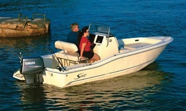 Rent 19' Scout Center Console Boat In L'Ampolla, Spain
