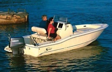 Rent 19' Scout Centerconsole Boat In L'Ampolla