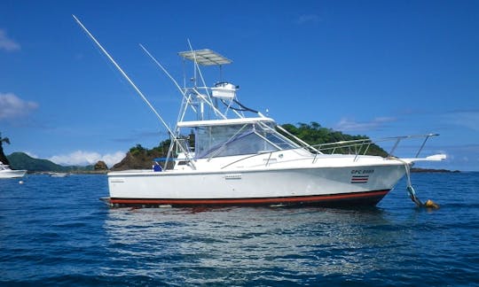 Tuna Fish boat - Papagayo Fishing