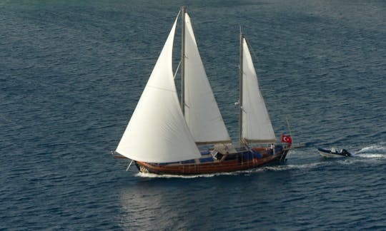 Trippin sailing