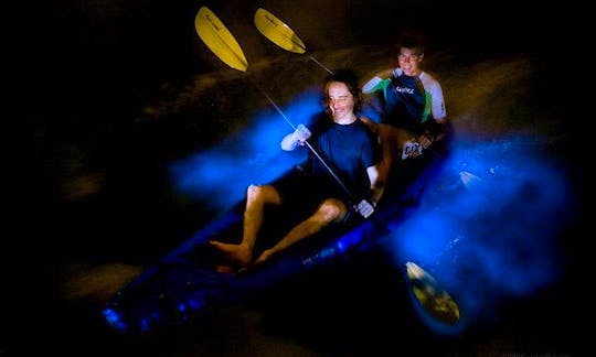 Bioluminescent Tours in Cayman Islands