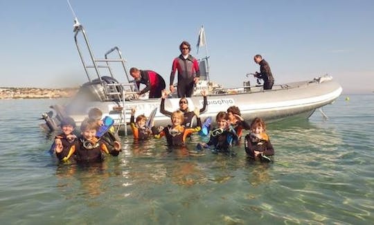 Scuba Divers Boat In Calvi