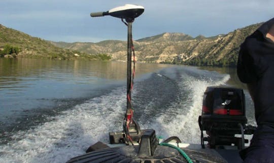 Boat Hire & Guide Service In Ginestar, Spain