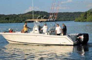 Memorable Fishing Trip on 31' Stamas Center Console in Chicá, Panamá