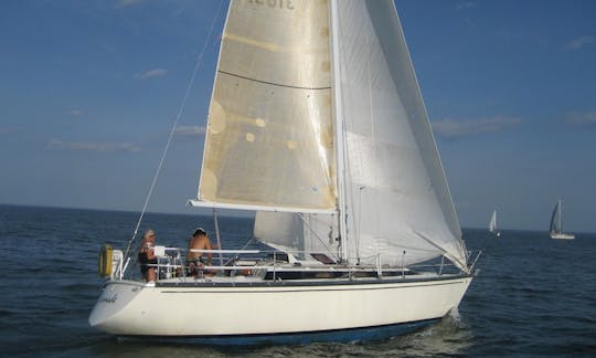 Sail on a classy and fast Sailing Yacht in the Hamptons, New York