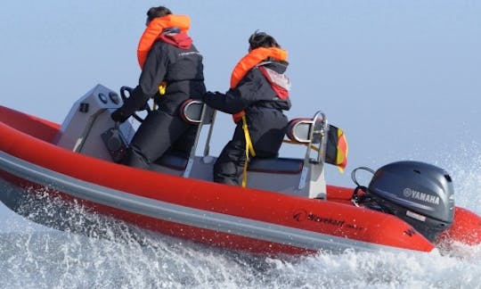 Balades en Wavekart à Nieuport, Belgique