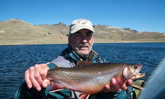 Guided Fishing Trips in Reno, Nevada