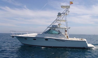 36' Tiara 3500 Fishing Charter in Tarragona, Spain