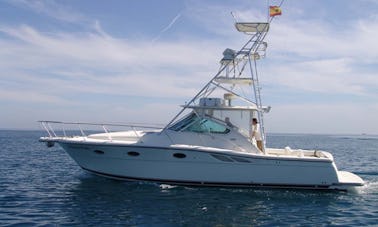 Charter de pêche 36' Tiara 3500 à Tarragone, Espagne