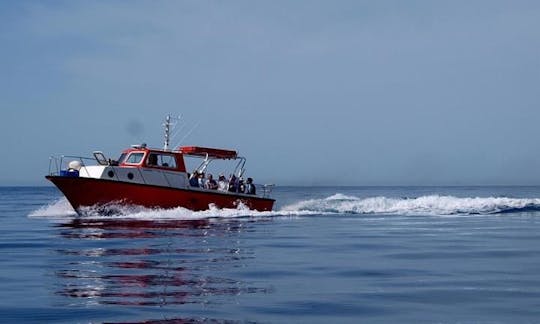 Boat Trips and Taxi Boat (20 pax) in Hora Sfakion Crete