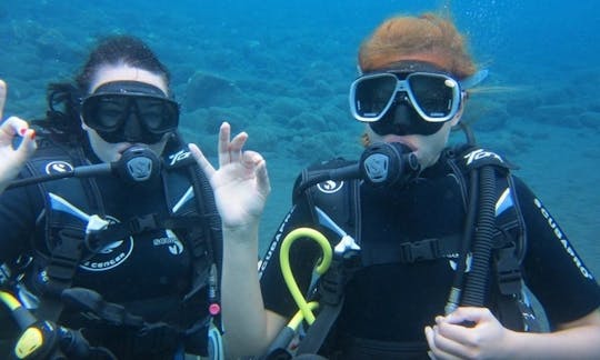 インドネシア・バリ島でのダイビングボートツアー