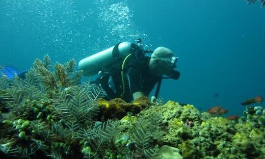 Viajes y cursos de buceo en Bali, Indonesia