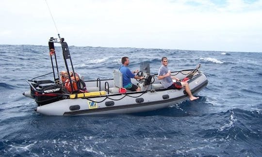 Viajes y cursos de buceo en Bali, Indonesia