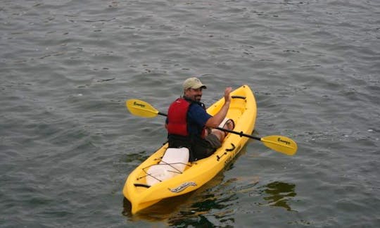 Rent Sit On Top Kayaks In Provincetown