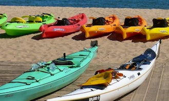 Rent Sit On Top Kayaks In Provincetown
