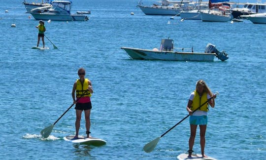 Stand Up Paddle Board Rental In Provincetown