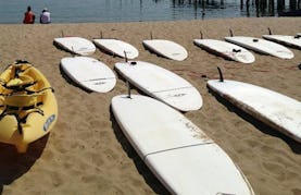 Stand Up Paddle Board Rental In Provincetown
