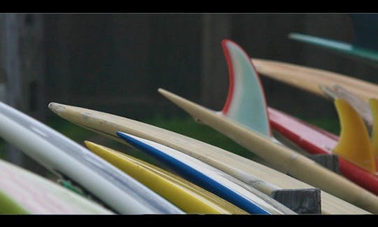 Stand Up Paddleboard Lessons and Rentals in Wellfleet, MA