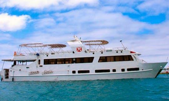 Humbolt Yatch Diving Cruise In Islas Galápagos