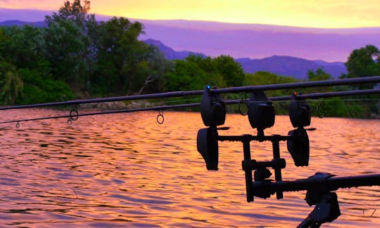 Carp Fishing Charter in Tortosa, Spain with Us!