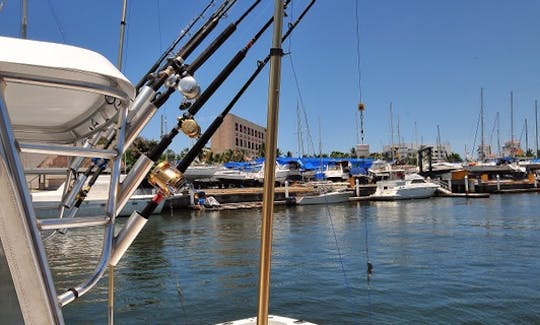 Pesca e mergulho com snorkel Luhrs 25 em Puerto Vallarta, Jalisco