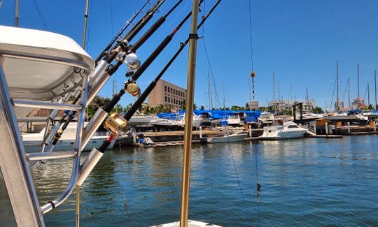Fishing Boat Luhrs 25 in Puerto Vallarta
