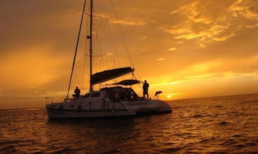 Catamaran à voile de 40 pieds en Namibie