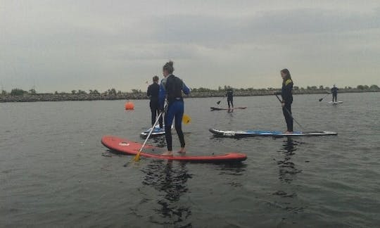 SUP Surfing In Denmark