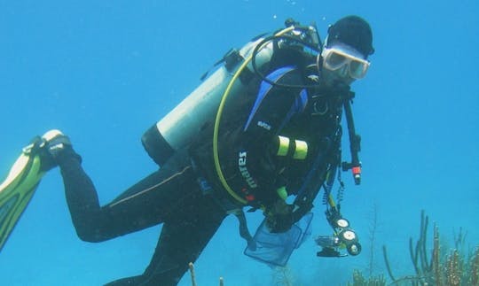 Scuba Diving Boat In Belize City