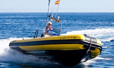 Valiant RIB Charters in Puerto Calero, Spain