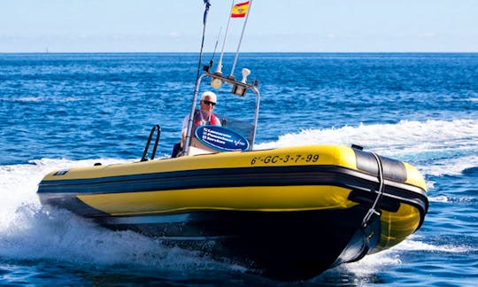 Valiant RIB Charters in Puerto Calero, Spain